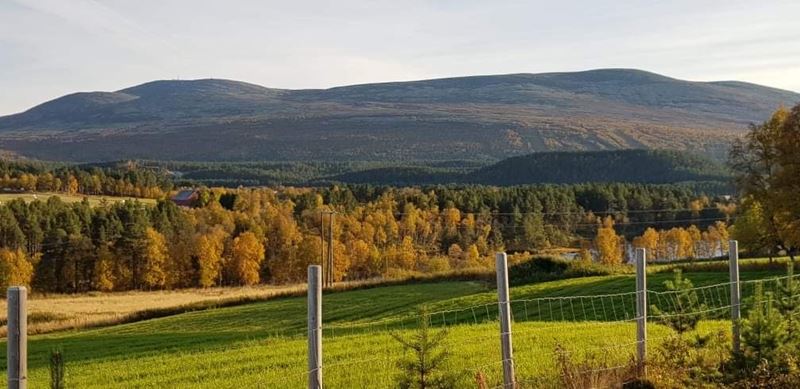 Nord-Østerdal