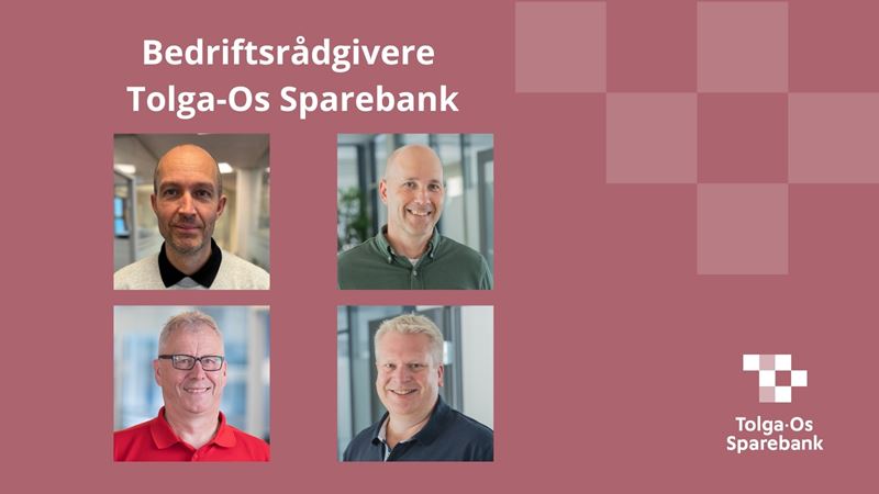 Bedriftsrådgivere